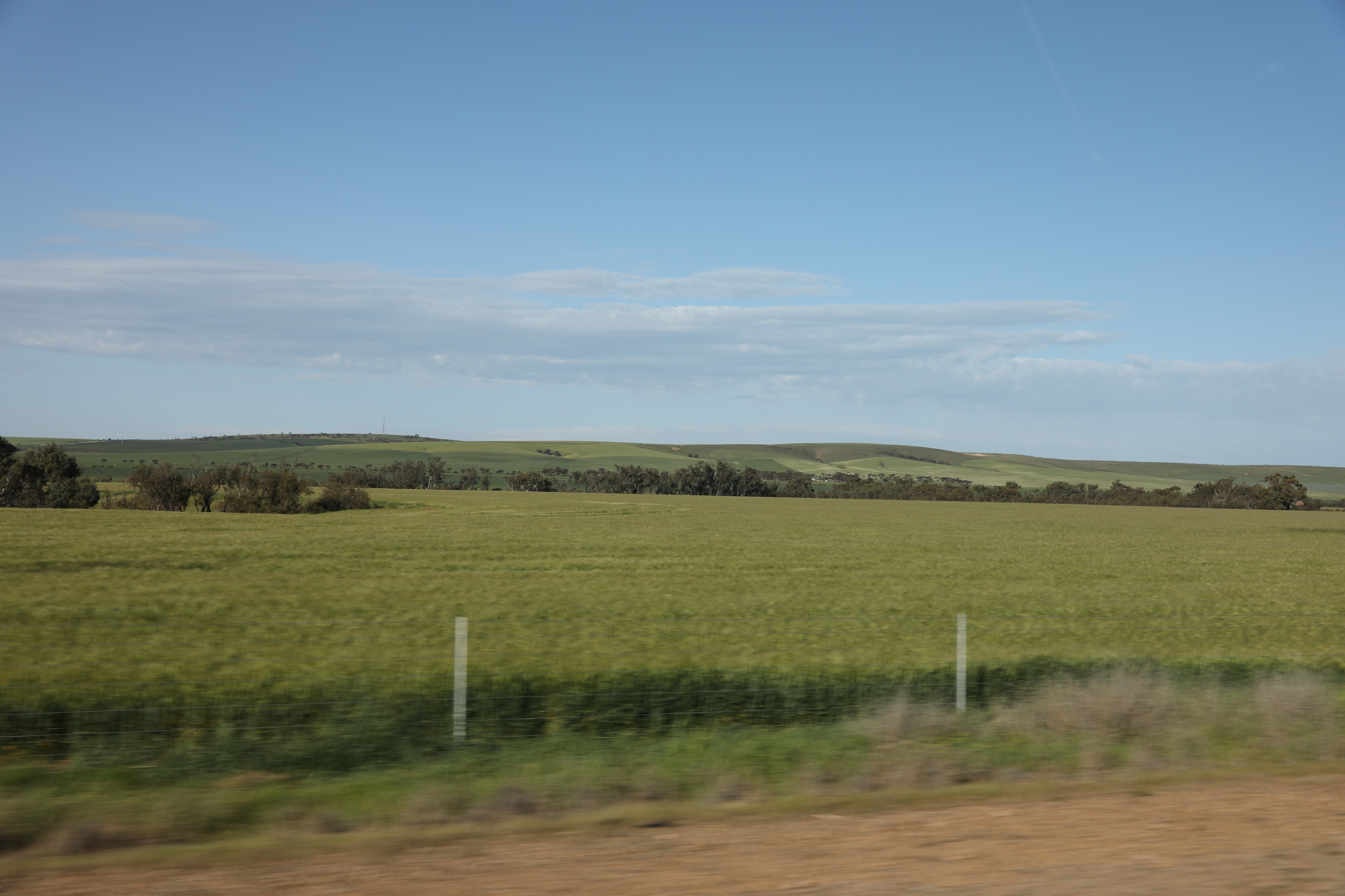 2019 09 02 16 10 23 Canon EOS 5D Mark IV 0033